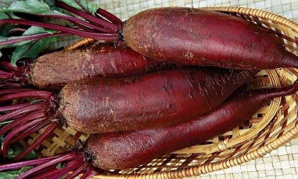 Най-добрите сортове за съхранение през зимата