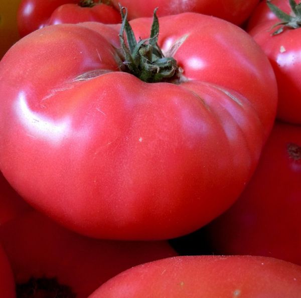 Fruits of the variety are considered the most delicious among pink tomatoes.