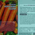 Βασίλισσα του φθινοπώρου