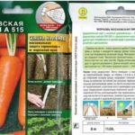 Μόσχα χειμώνα