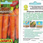 Ο αυτοκράτορας