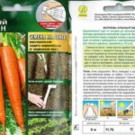 Κόκκινο Γίγαντα