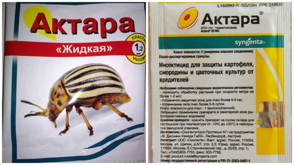 Per prevenire la comparsa di parassiti, è possibile utilizzare lo strumento Aktara