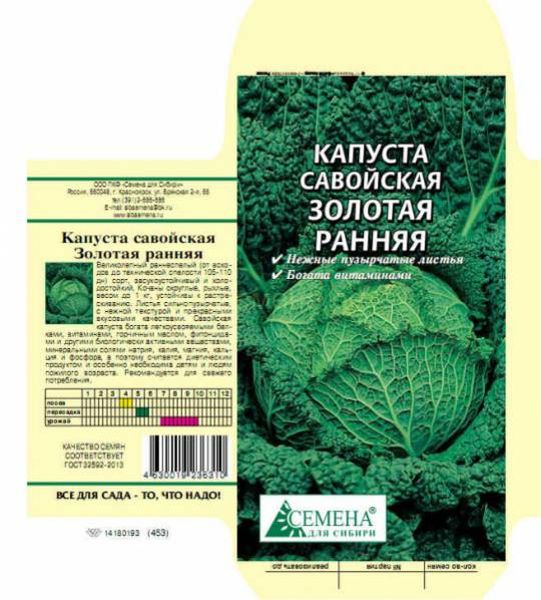 Semi di cavolo verza