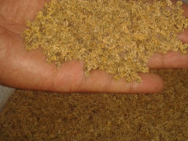 Το σωστό σχέδιο φύτευσης σπόρων