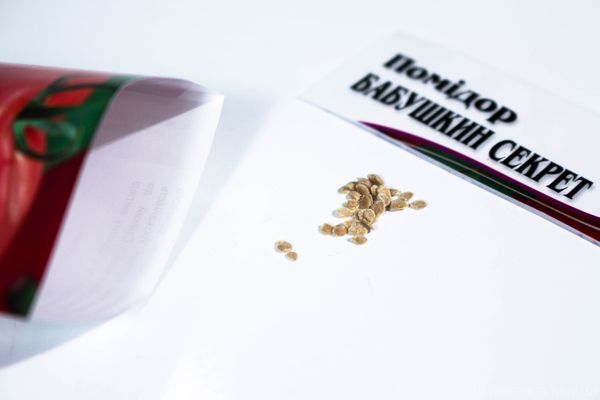 Φύτευση σπόρων