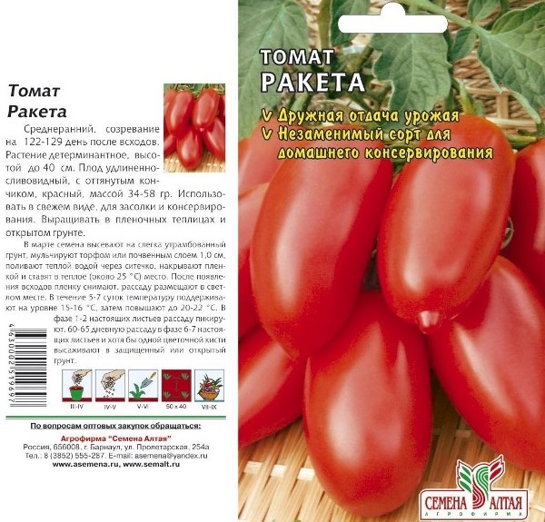 Description and characteristics of tomato rocket