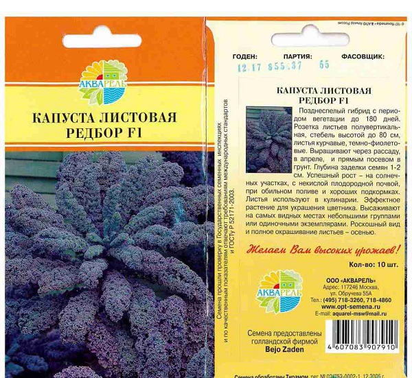 Wachsender Grünkohl