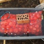 Dans l'eau chaude, le réchauffement est effectué directement dans la grille.