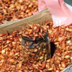 Sevka chauffé au soleil