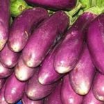 Οι καλύτερες πολύχρωμες ποικιλίες