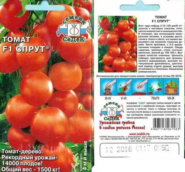 Semences de variété de tomate Octopus F1