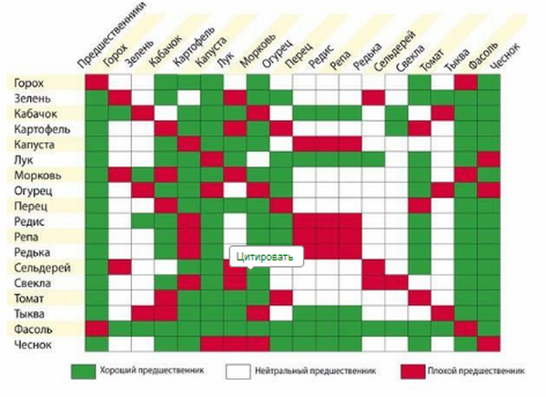 Rotation des pommes de terre