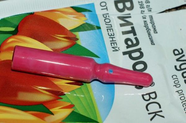 La combinaison des antifongiques Taboo et Vitaros est possible.