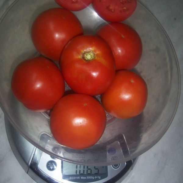 Ο Τιτάνας έχει εξαιρετικά χαρακτηριστικά προϊόντος.