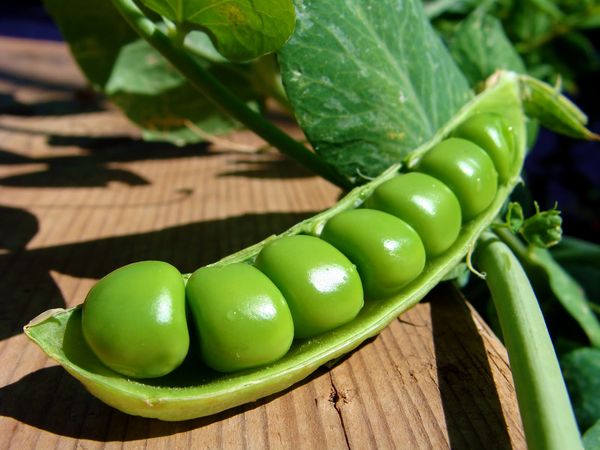 Three peas