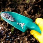 Granular superphosphate to be added to the soil