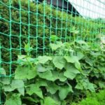 Υπόστρωμα στο τελικό πλέγμα