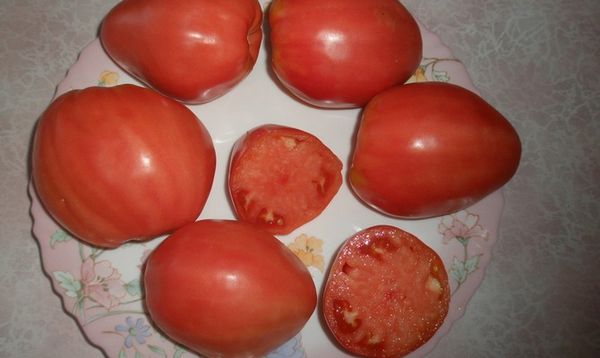 Characteristic varieties of tomato Batyanya