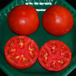 Τα πλεονεκτήματα και τα μειονεκτήματα της ποικιλίας