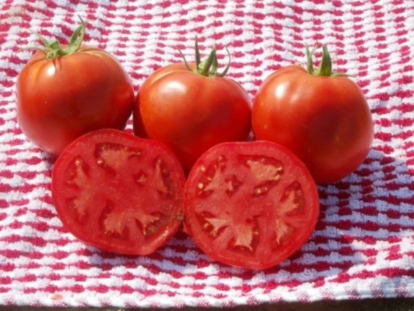 The advantages and disadvantages of the variety