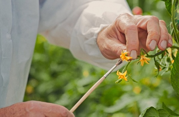 Departure after landing