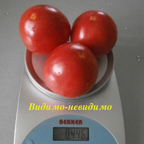 ثمار الصف تختلف في الأشكال المائلة قليلاً المائلة