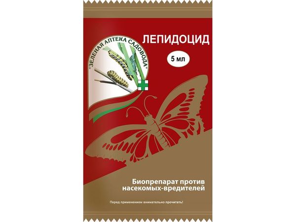 بالنسبة للآفات ، من الضروري علاج الطماطم بـ Lepidocide