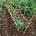 Unusual mounting methods