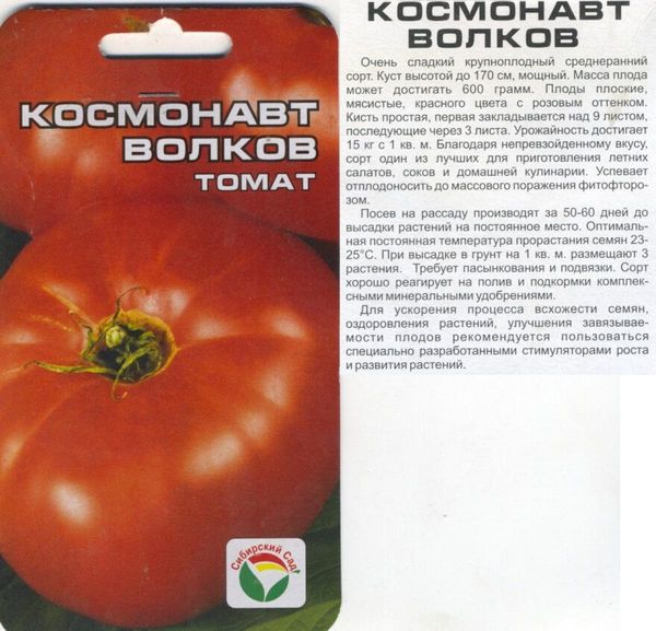 Samen Tomate Kosmonaut Volkov