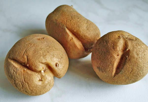 Les graines de pomme de terre fêlées peuvent ne pas donner de bonnes pousses.