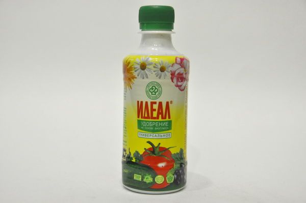 Идеален като регулатор на растежа на патладжаните