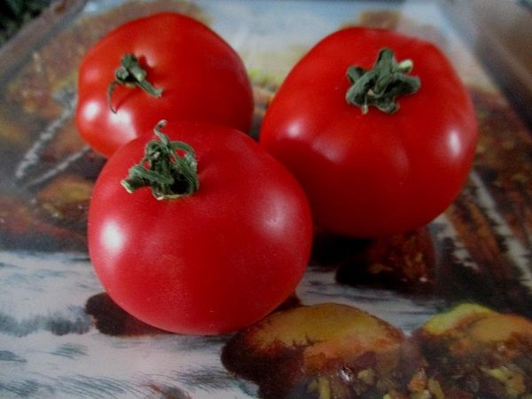 Tomates Blast - Viande. juteux et savoureux
