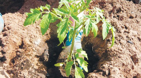 L'explosion est destinée à l'atterrissage uniquement en terrain découvert.