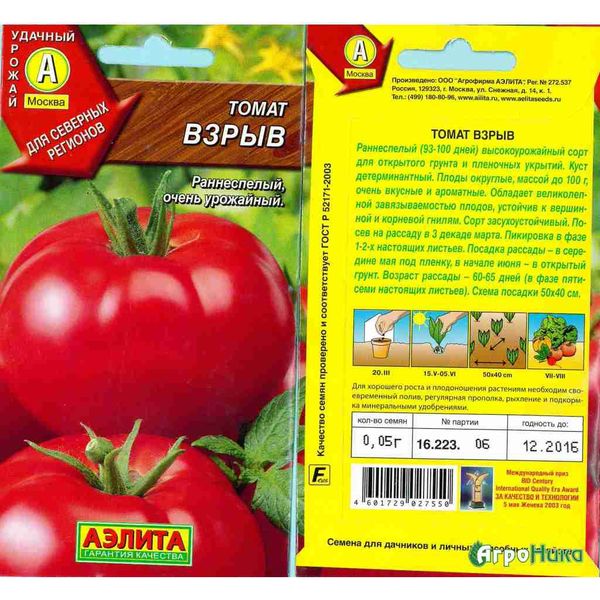 Graines de tomates éclatées