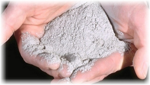 Malattie e parassiti