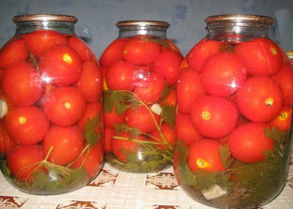 Les petits fruits de la tomate Klusha sont parfaits pour la mise en conserve.
