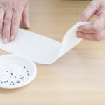 Préparation du ruban de papier pour les graines