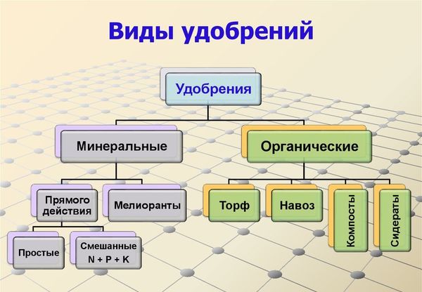 Fertilizers for parsley and dill
