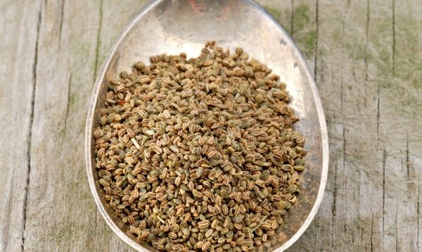 Семена от целина