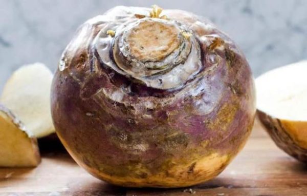 Το Rutabagum κλείνει