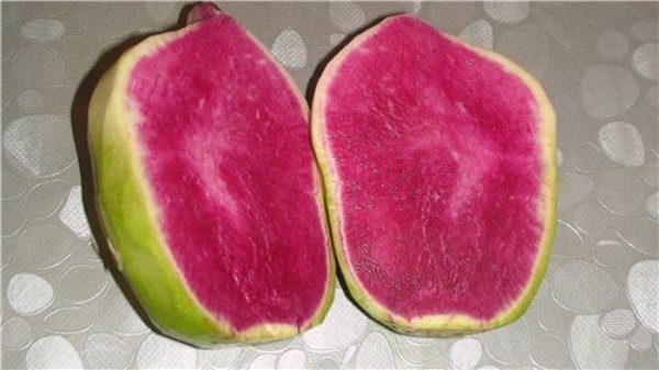 موانع لدخول قائمة الفجل الغذائية وأمراض الجهاز القلبي الوعائي