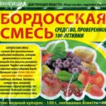 Mélange de bordeaux