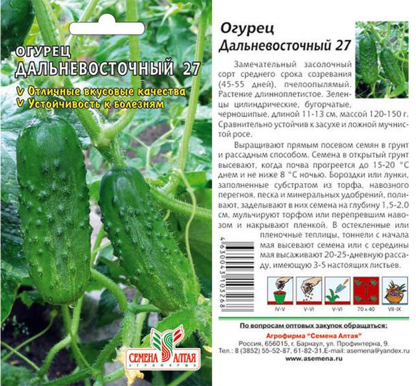 Seeds of cucumber Far East 27