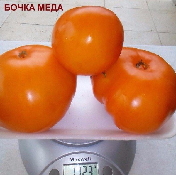 Baril de tomates de miel