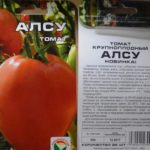 As melhores variedades grandes de tomates