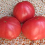 Les meilleures variétés de fruits sucrés pour l'Oural