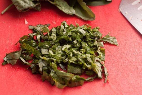 Можете да изстискате сока само от част от босилека, която расте над земята.