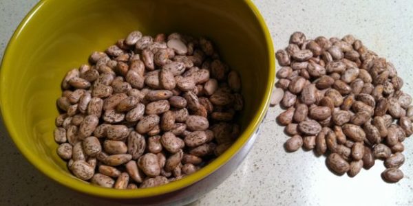 Haricots gris préparés