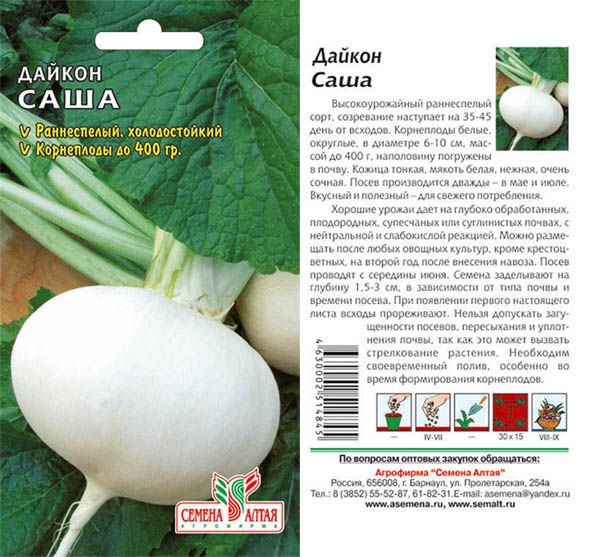 Дайкън Саша